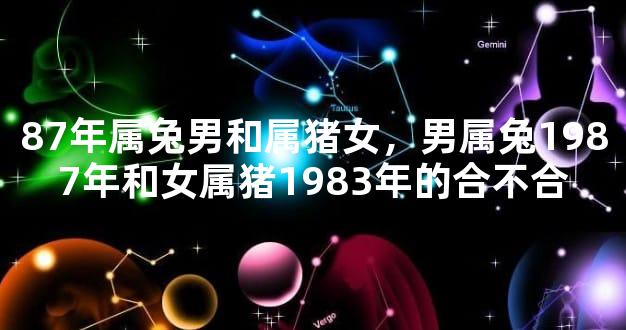 87年属兔男和属猪女，男属兔1987年和女属猪1983年的合不合