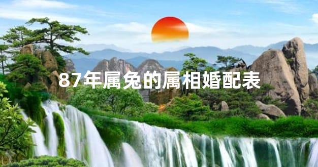 87年属兔的属相婚配表