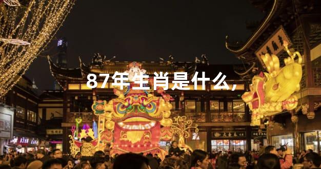 87年生肖是什么,