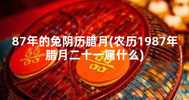 87年的兔阴历腊月(农历1987年腊月二十一属什么)