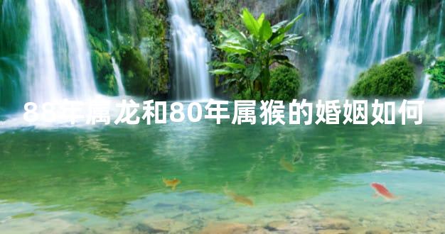 88年属龙和80年属猴的婚姻如何