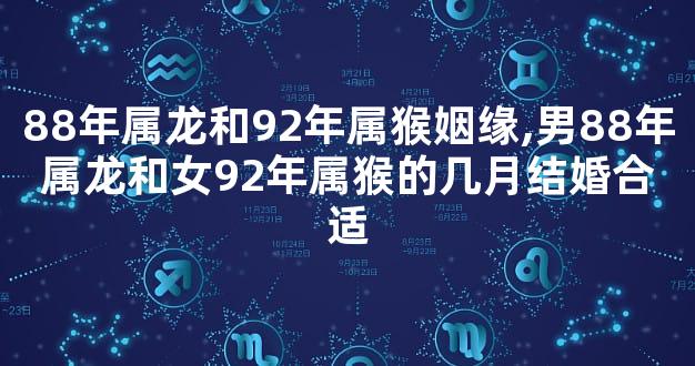 88年属龙和92年属猴姻缘,男88年属龙和女92年属猴的几月结婚合适