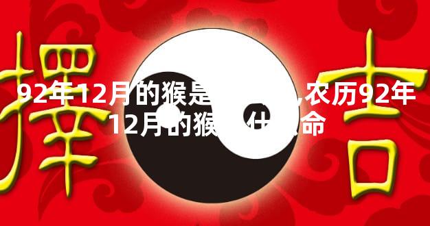 92年12月的猴是什么命,农历92年12月的猴是什么命