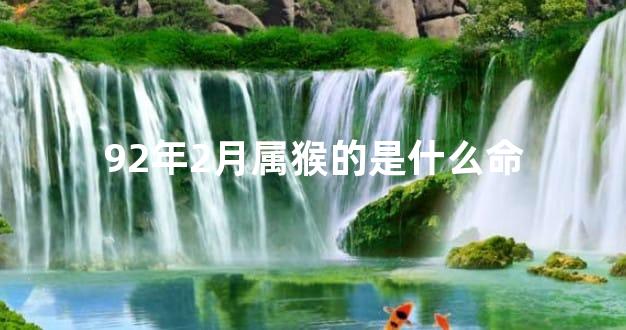 92年2月属猴的是什么命