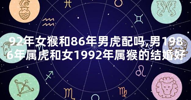 92年女猴和86年男虎配吗,男1986年属虎和女1992年属猴的结婚好
