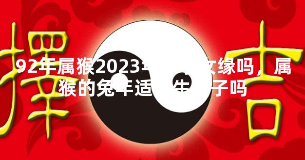 92年属猴2023年有子女缘吗，属猴的兔年适合生孩子吗