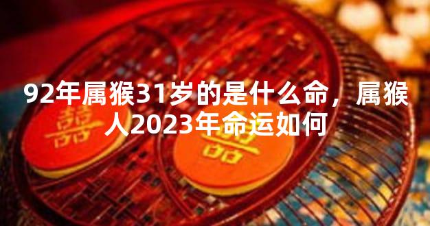92年属猴31岁的是什么命，属猴人2023年命运如何