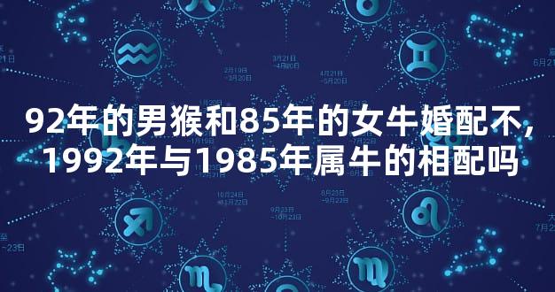 92年的男猴和85年的女牛婚配不,1992年与1985年属牛的相配吗