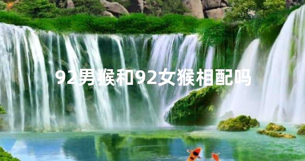 92男猴和92女猴相配吗