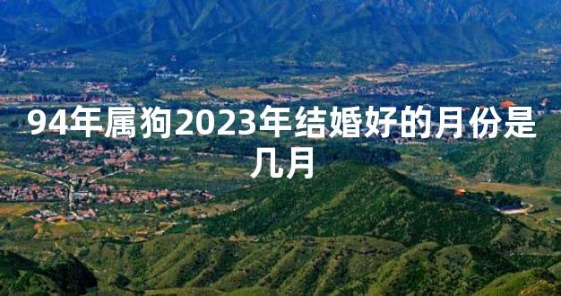 94年属狗2023年结婚好的月份是几月