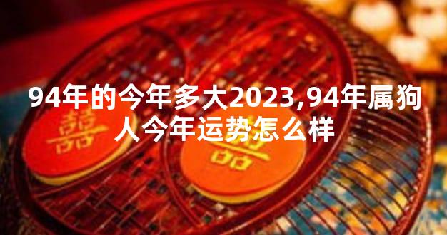94年的今年多大2023,94年属狗人今年运势怎么样