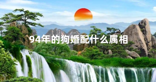 94年的狗婚配什么属相