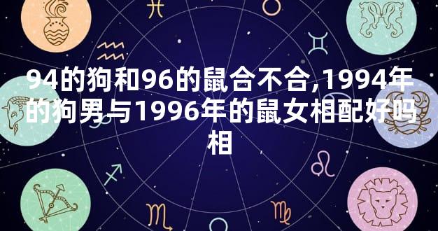 94的狗和96的鼠合不合,1994年的狗男与1996年的鼠女相配好吗相