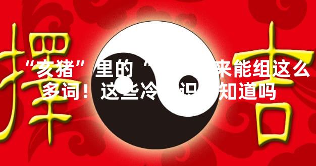 “亥猪”里的“亥”原来能组这么多词！这些冷知识你知道吗