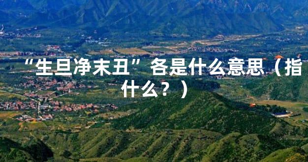 “生旦净末丑”各是什么意思（指什么？）