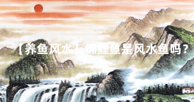 【养鱼风水】锦鲤鱼是风水鱼吗？