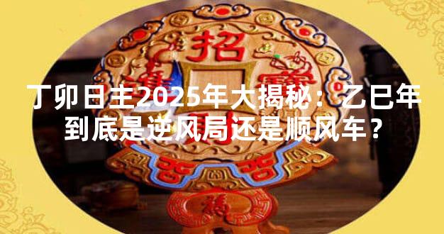 丁卯日主2025年大揭秘：乙巳年到底是逆风局还是顺风车？