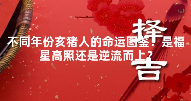 不同年份亥猪人的命运图鉴：是福星高照还是逆流而上？