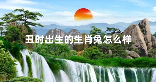 丑时出生的生肖兔怎么样