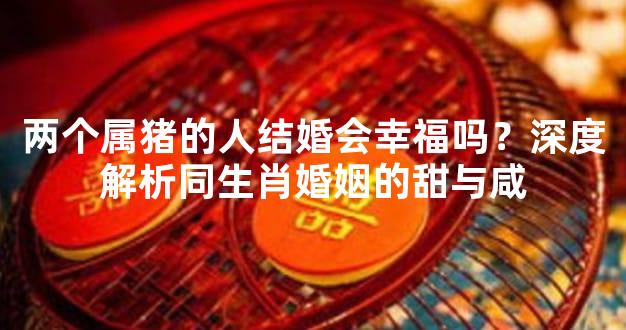 两个属猪的人结婚会幸福吗？深度解析同生肖婚姻的甜与咸