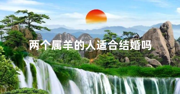 两个属羊的人适合结婚吗