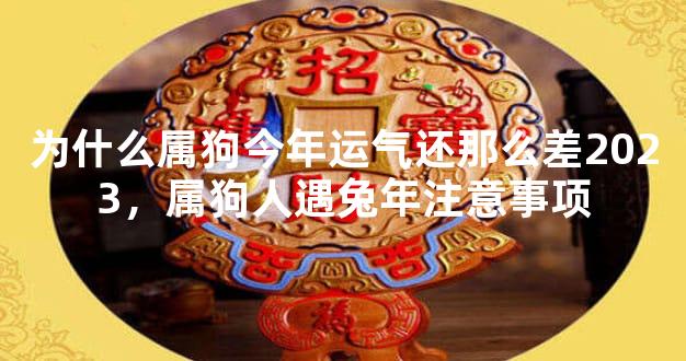 为什么属狗今年运气还那么差2023，属狗人遇兔年注意事项