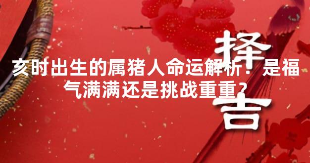 亥时出生的属猪人命运解析：是福气满满还是挑战重重？