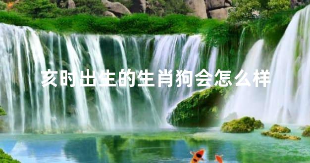 亥时出生的生肖狗会怎么样