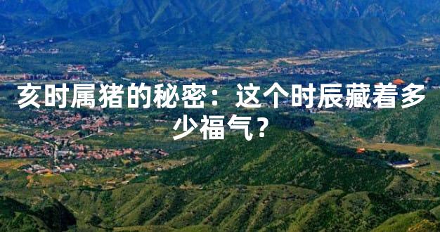 亥时属猪的秘密：这个时辰藏着多少福气？