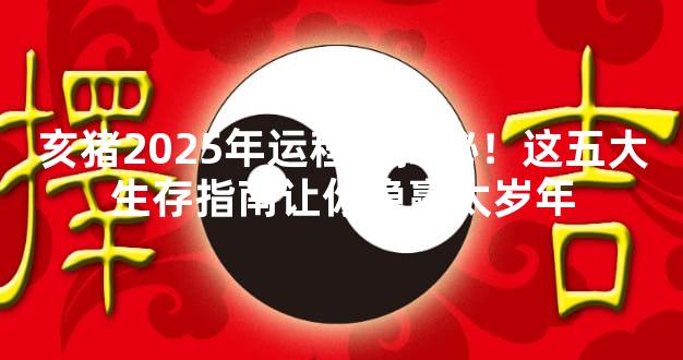 亥猪2025年运程大揭秘！这五大生存指南让你稳赢太岁年