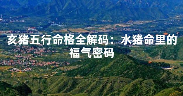 亥猪五行命格全解码：水猪命里的福气密码