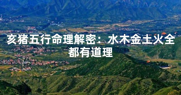 亥猪五行命理解密：水木金土火全都有道理