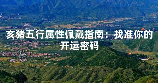 亥猪五行属性佩戴指南：找准你的开运密码
