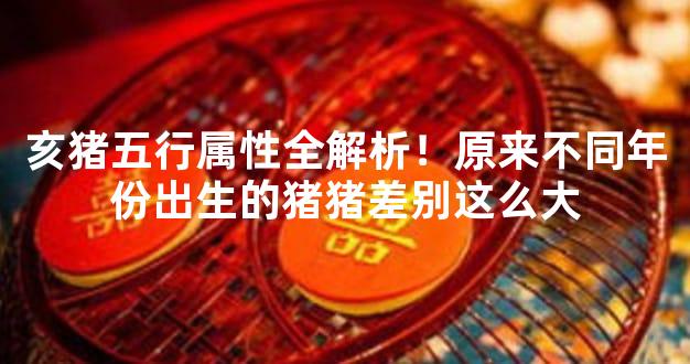 亥猪五行属性全解析！原来不同年份出生的猪猪差别这么大
