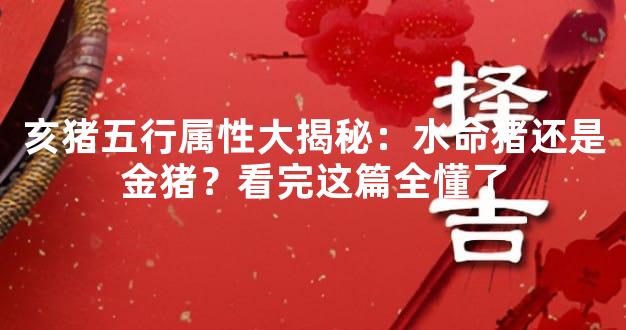 亥猪五行属性大揭秘：水命猪还是金猪？看完这篇全懂了