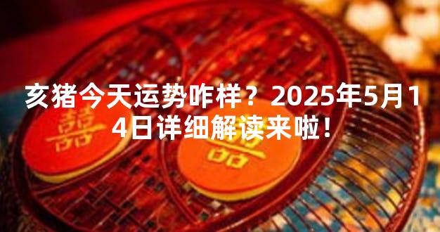 亥猪今天运势咋样？2025年5月14日详细解读来啦！