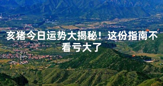 亥猪今日运势大揭秘！这份指南不看亏大了