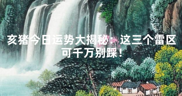 亥猪今日运势大揭秘：这三个雷区可千万别踩！