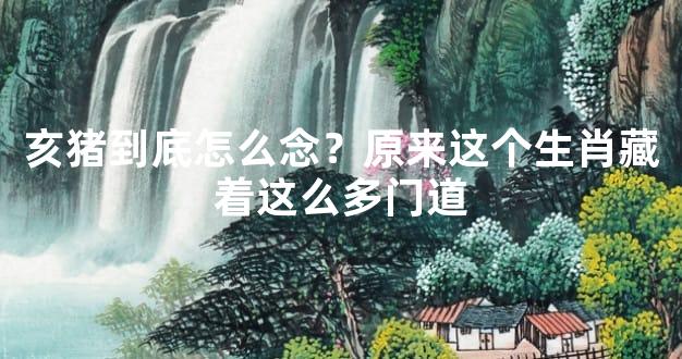 亥猪到底怎么念？原来这个生肖藏着这么多门道