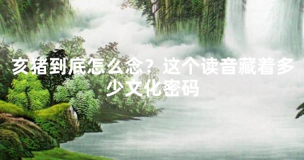 亥猪到底怎么念？这个读音藏着多少文化密码