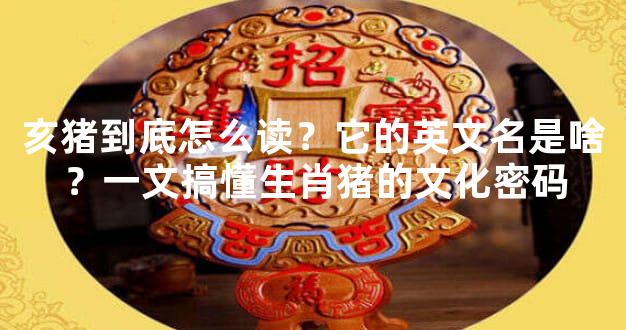 亥猪到底怎么读？它的英文名是啥？一文搞懂生肖猪的文化密码