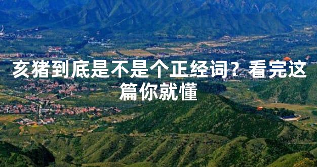 亥猪到底是不是个正经词？看完这篇你就懂
