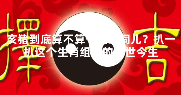 亥猪到底算不算个正经词儿？扒一扒这个生肖组合的前世今生
