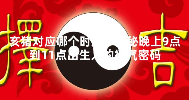 亥猪对应哪个时辰？揭秘晚上9点到11点出生人的福气密码