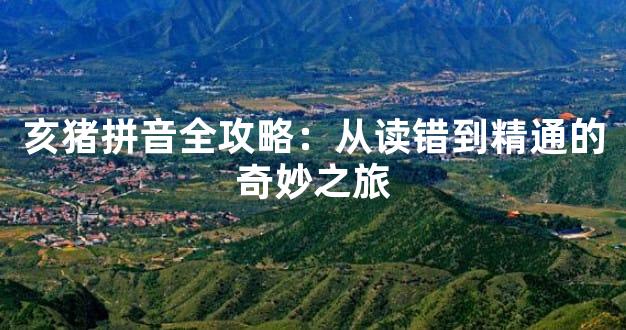 亥猪拼音全攻略：从读错到精通的奇妙之旅