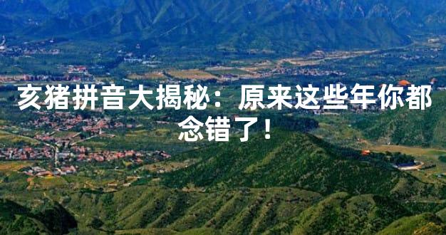 亥猪拼音大揭秘：原来这些年你都念错了！