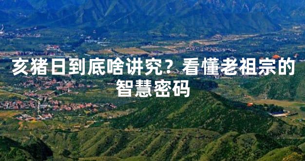 亥猪日到底啥讲究？看懂老祖宗的智慧密码