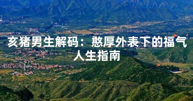 亥猪男生解码：憨厚外表下的福气人生指南
