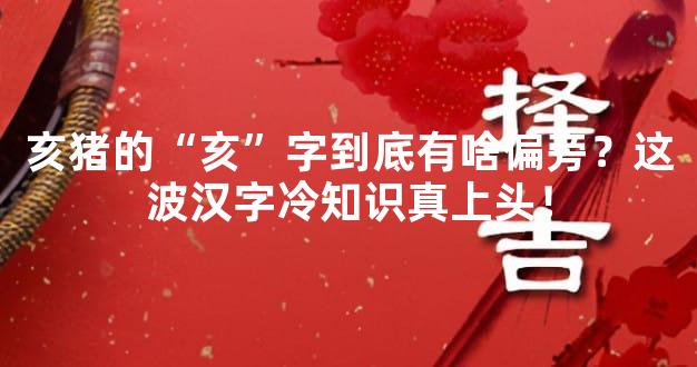 亥猪的“亥”字到底有啥偏旁？这波汉字冷知识真上头！