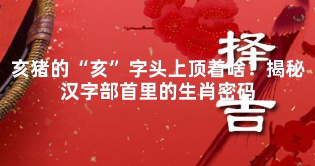 亥猪的“亥”字头上顶着啥？揭秘汉字部首里的生肖密码